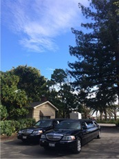 Our limos at Caymus Vineyards Our limos at Caymus Vineyards